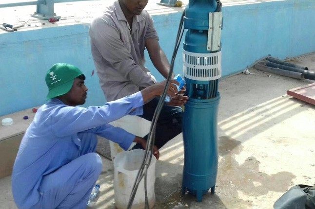 AOA最新版登录中国有限公司官网潜水泵在沙特海萨公园展放异彩